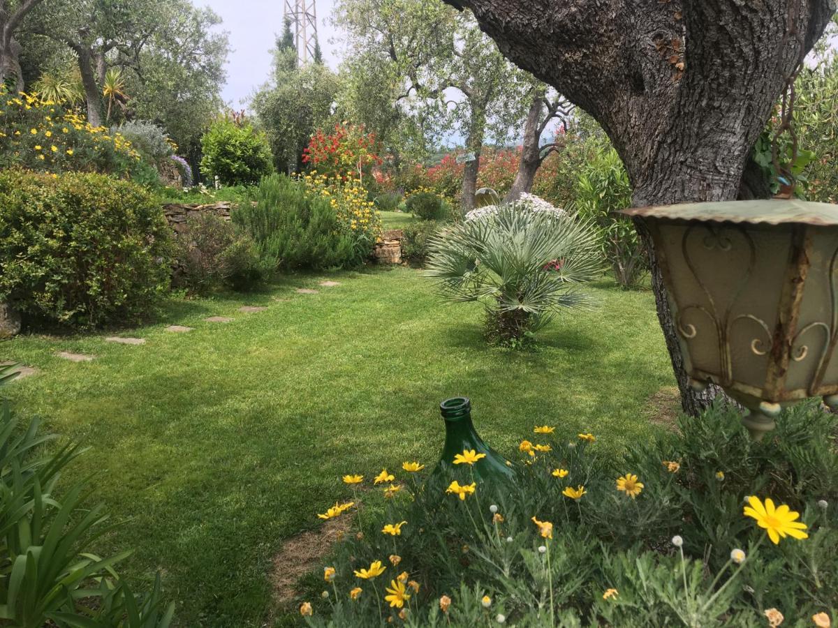 Casa Di Jo Villa Imperia Eksteriør billede